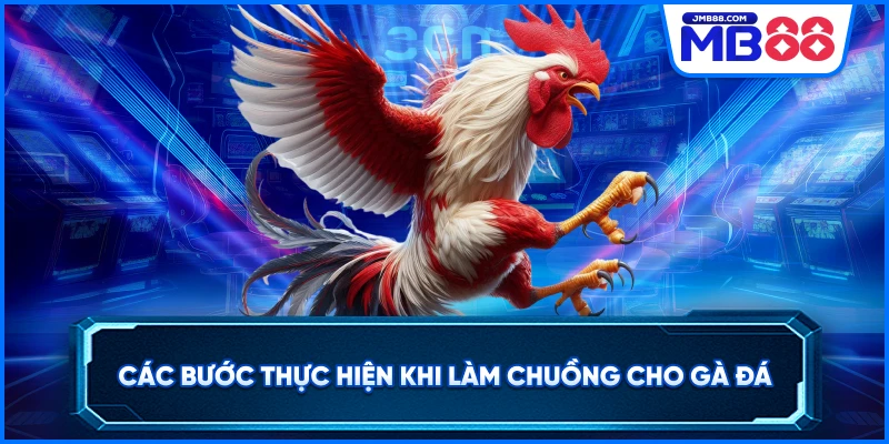 Các bước thực hiện khi làm chuồng cho gà đá